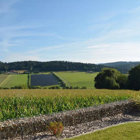 Luxus-chalet Mühlberg Chalet Eppenschlag