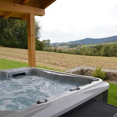 Chalet Luxus-chalet Mühlberg *